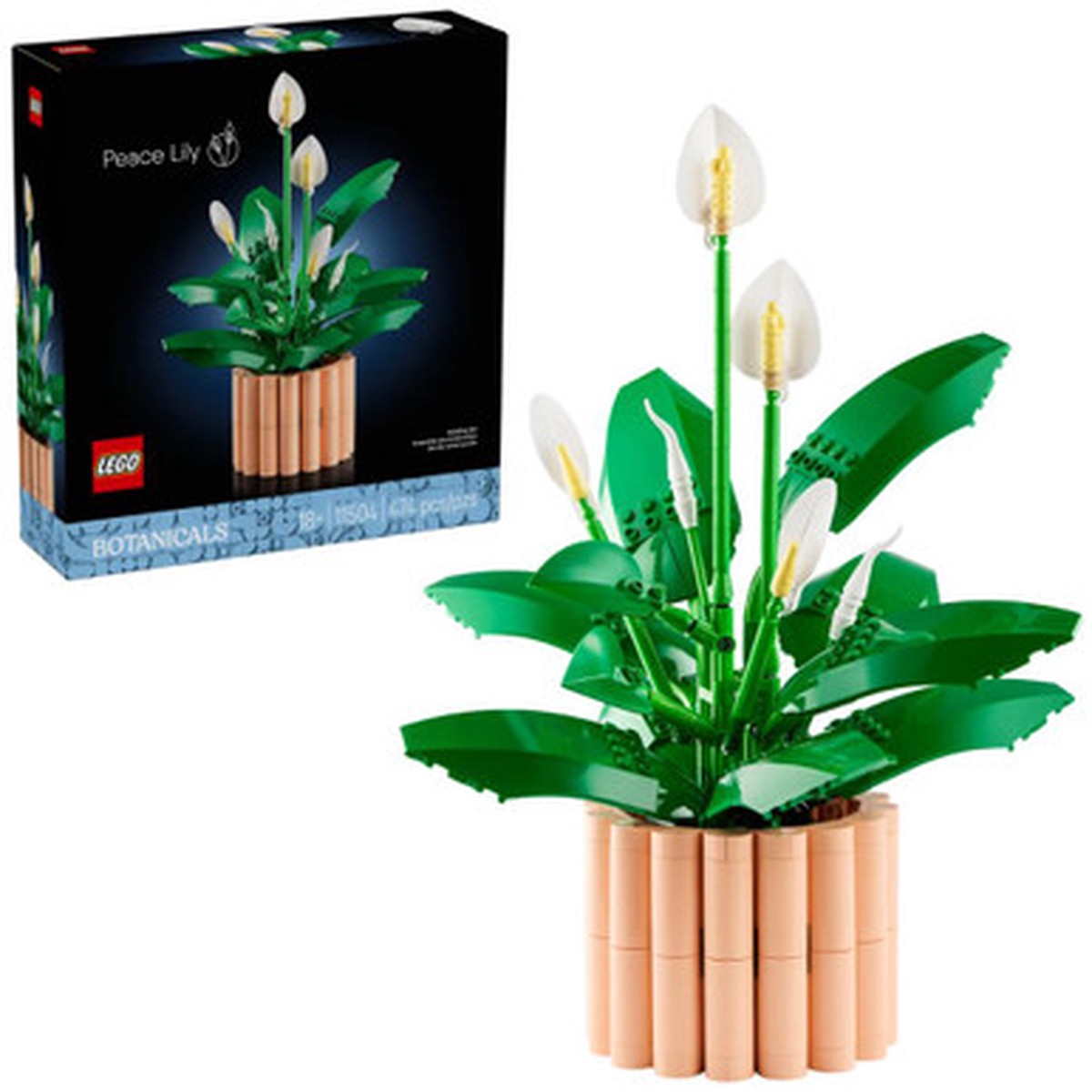 Previous Product Image