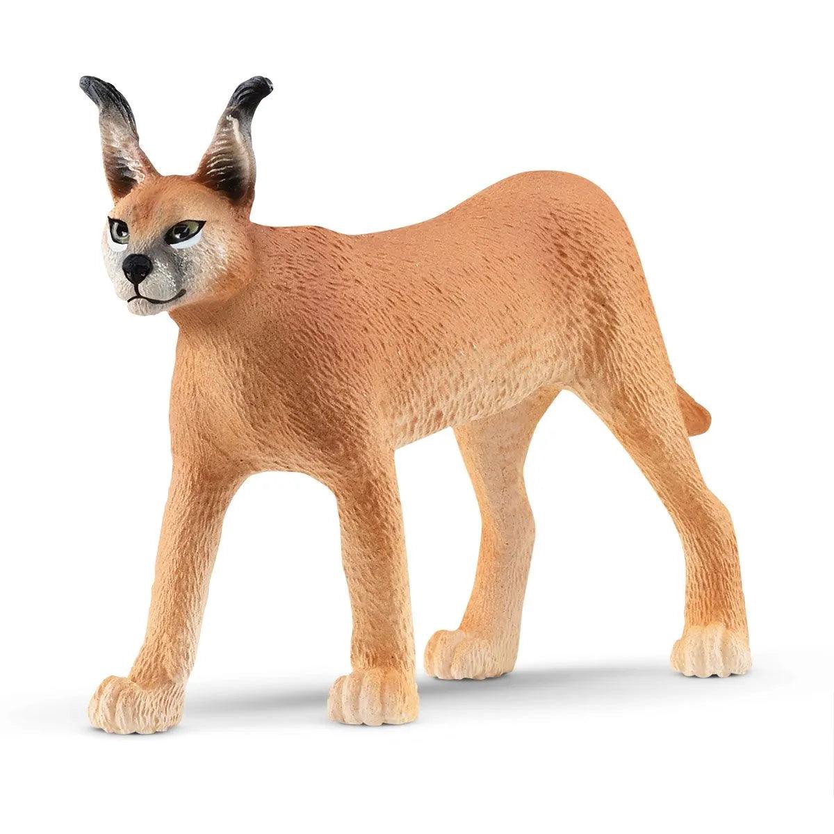 Next Product Image
