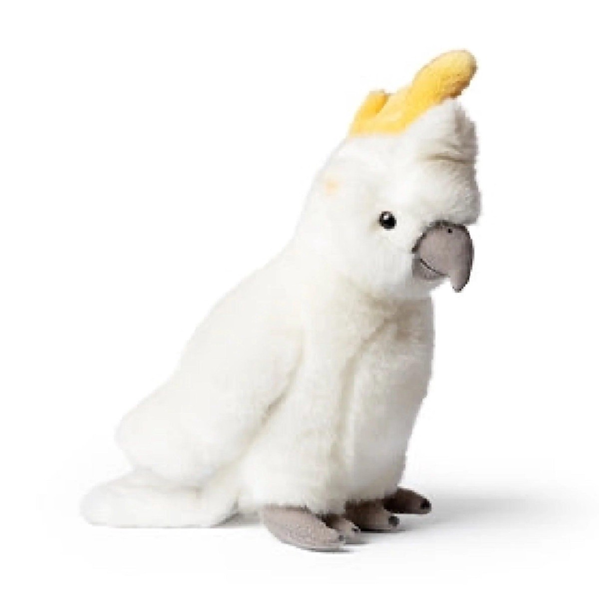 Next Product Image