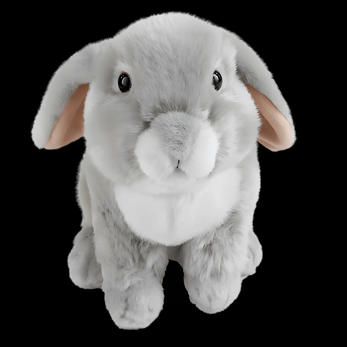 Next Product Image