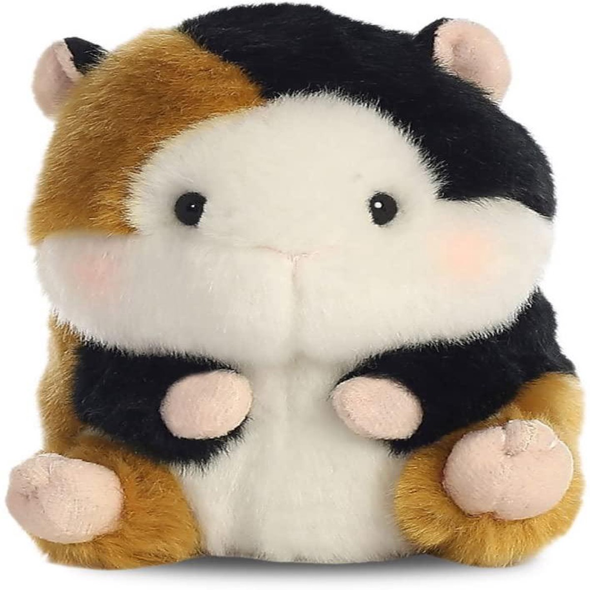 Previous Product Image