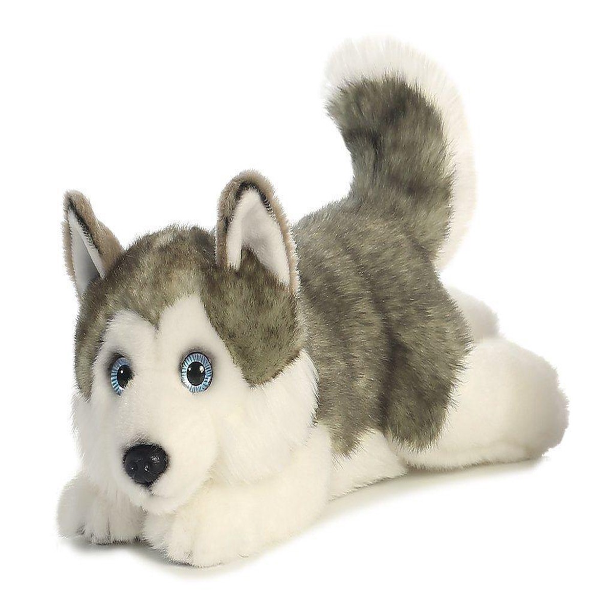 Next Product Image