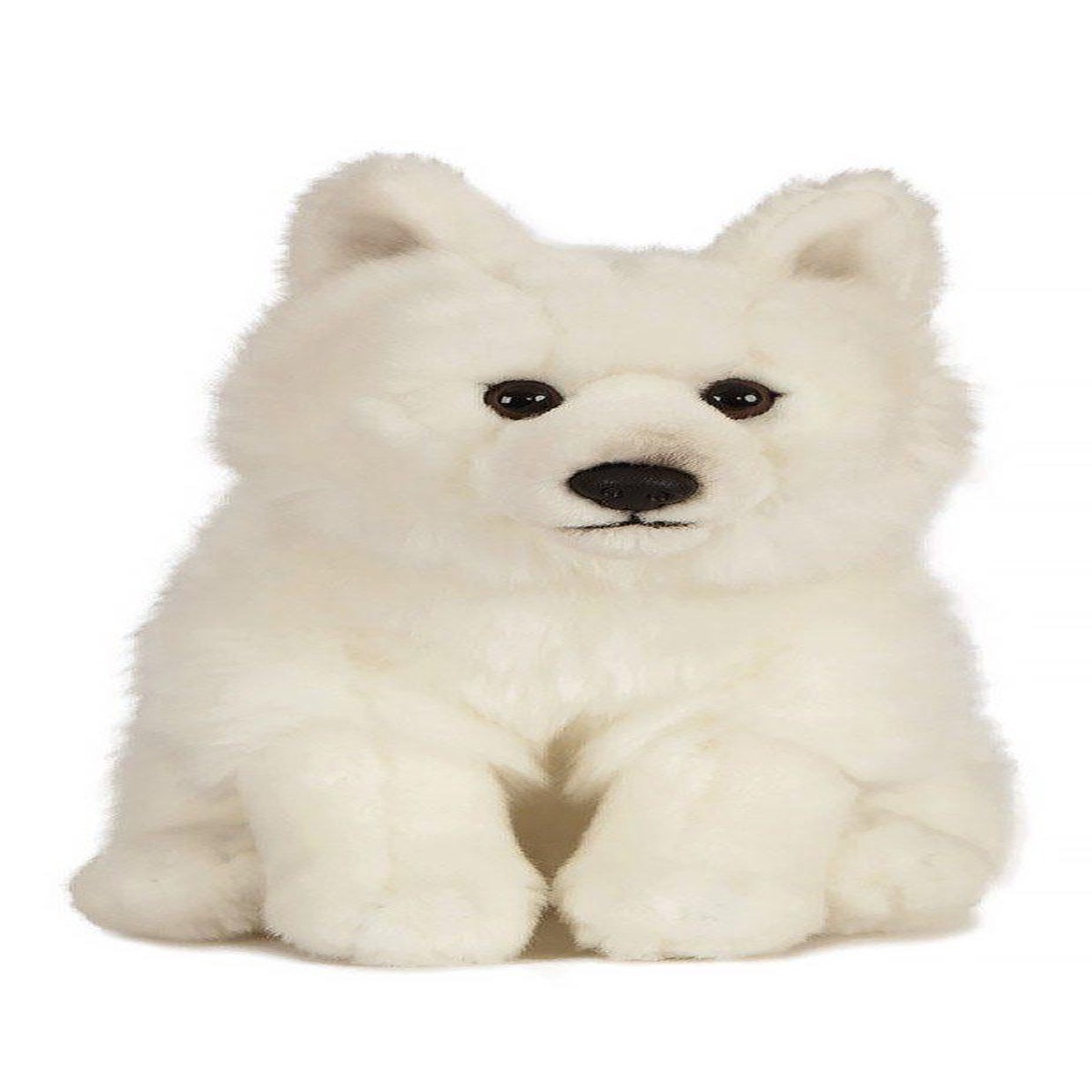 Next Product Image