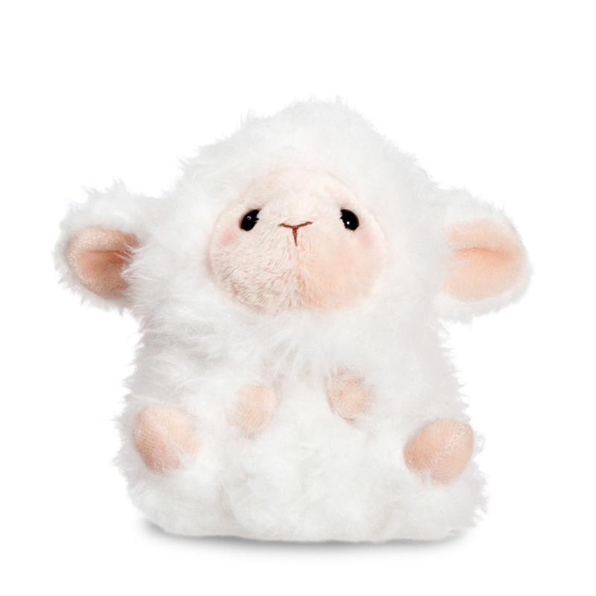 Next Product Image
